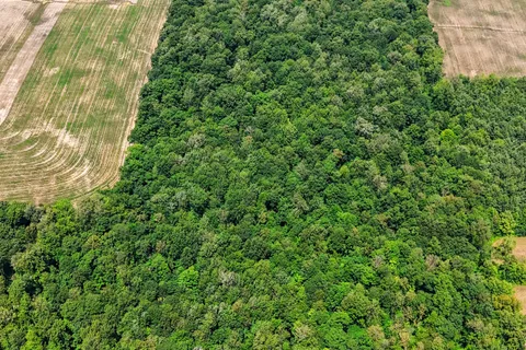 73325 HENDERSON Road, ON L0R 2J0