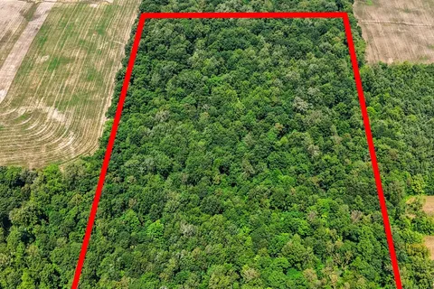 73325 HENDERSON Road, ON L0R 2J0