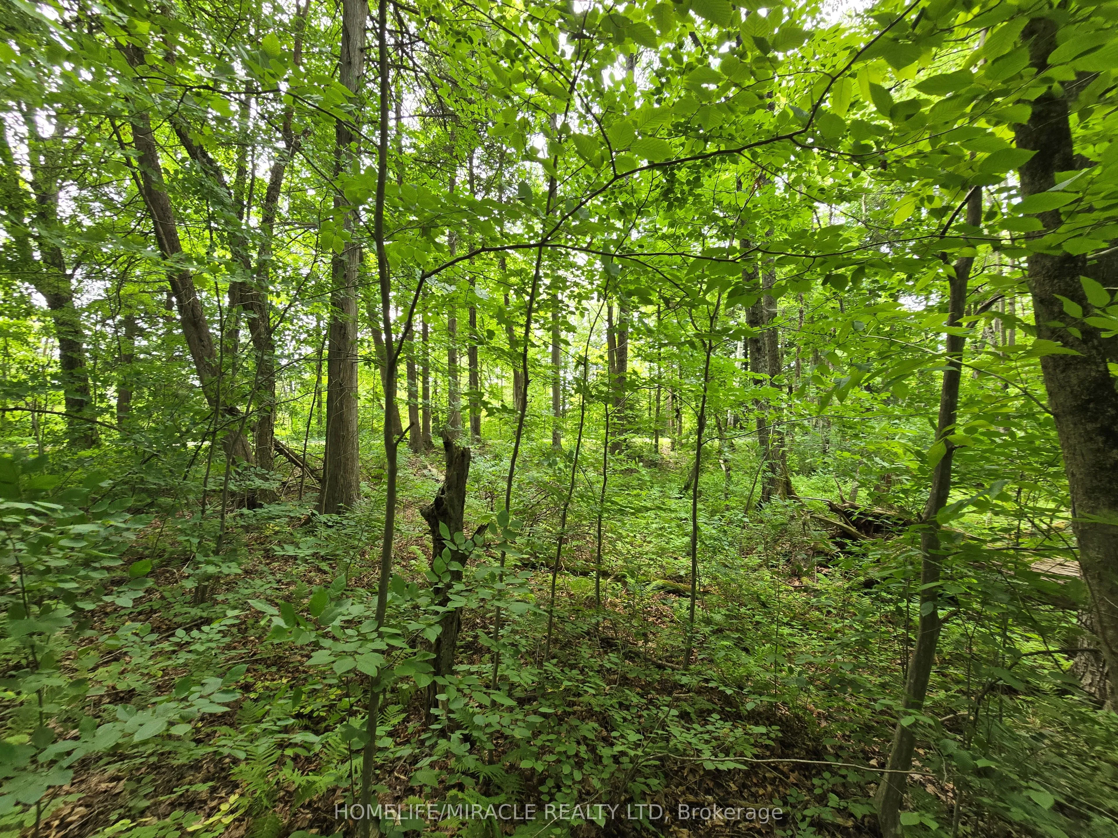 000 Cedar Sands Road, ON K0E 1N0