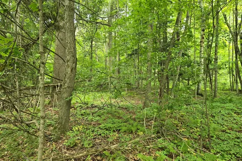 000 Cedar Sands Road, ON K0E 1N0