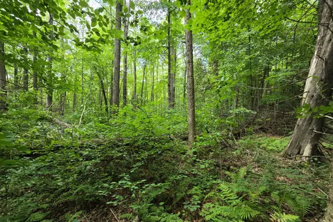 000 Cedar Sands Road, ON K0E 1N0