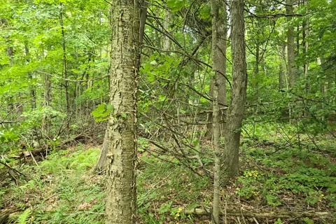 000 Cedar Sands Road, ON K0E 1N0