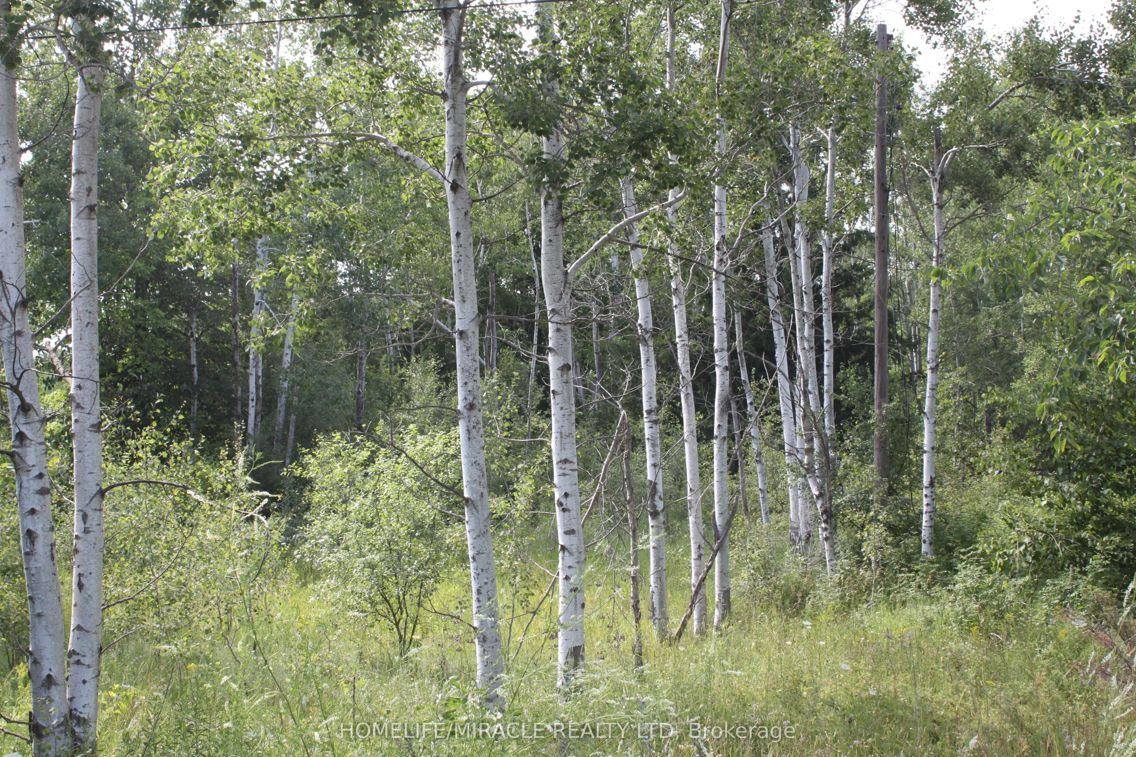 380 Highway 15 N/A, ON K7A 5B8