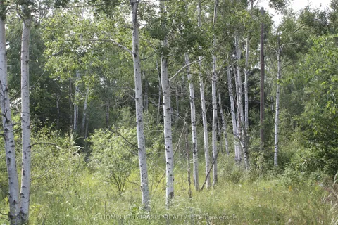 380 Highway 15 N/A, ON K7A 5B8