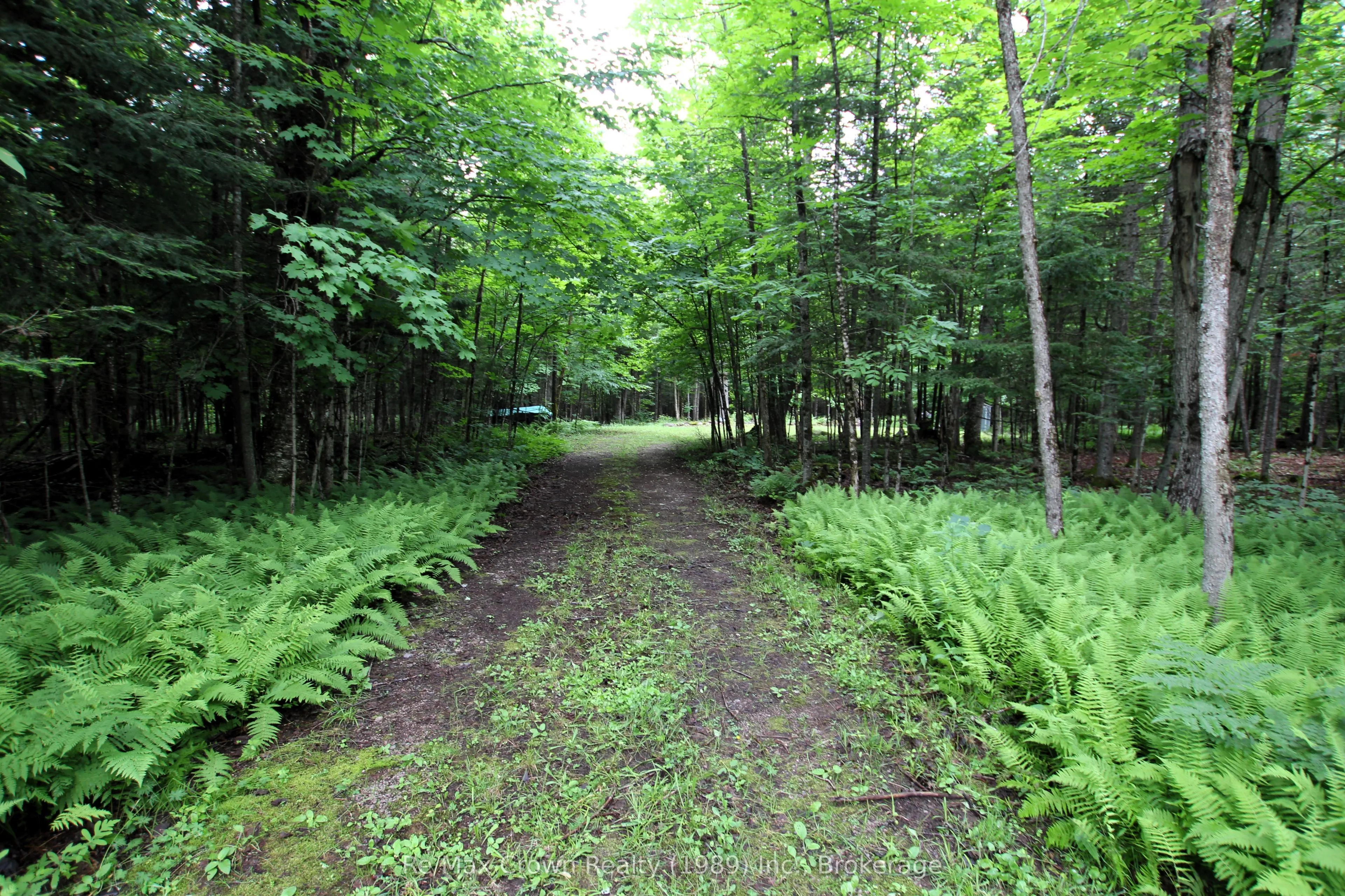 0 Pilgers Road, ON P0H 1J0