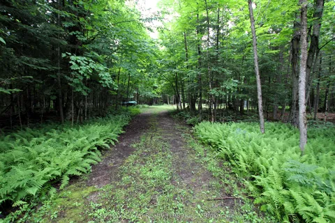 0 Pilgers Road, ON P0H 1J0