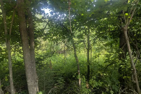 P4 Comerford Road, ON K9J 2E0