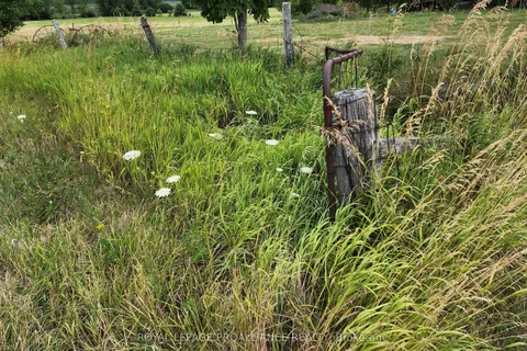 PTLT 31 COUNTY ROAD 15 N/A, ON K0K 2T0