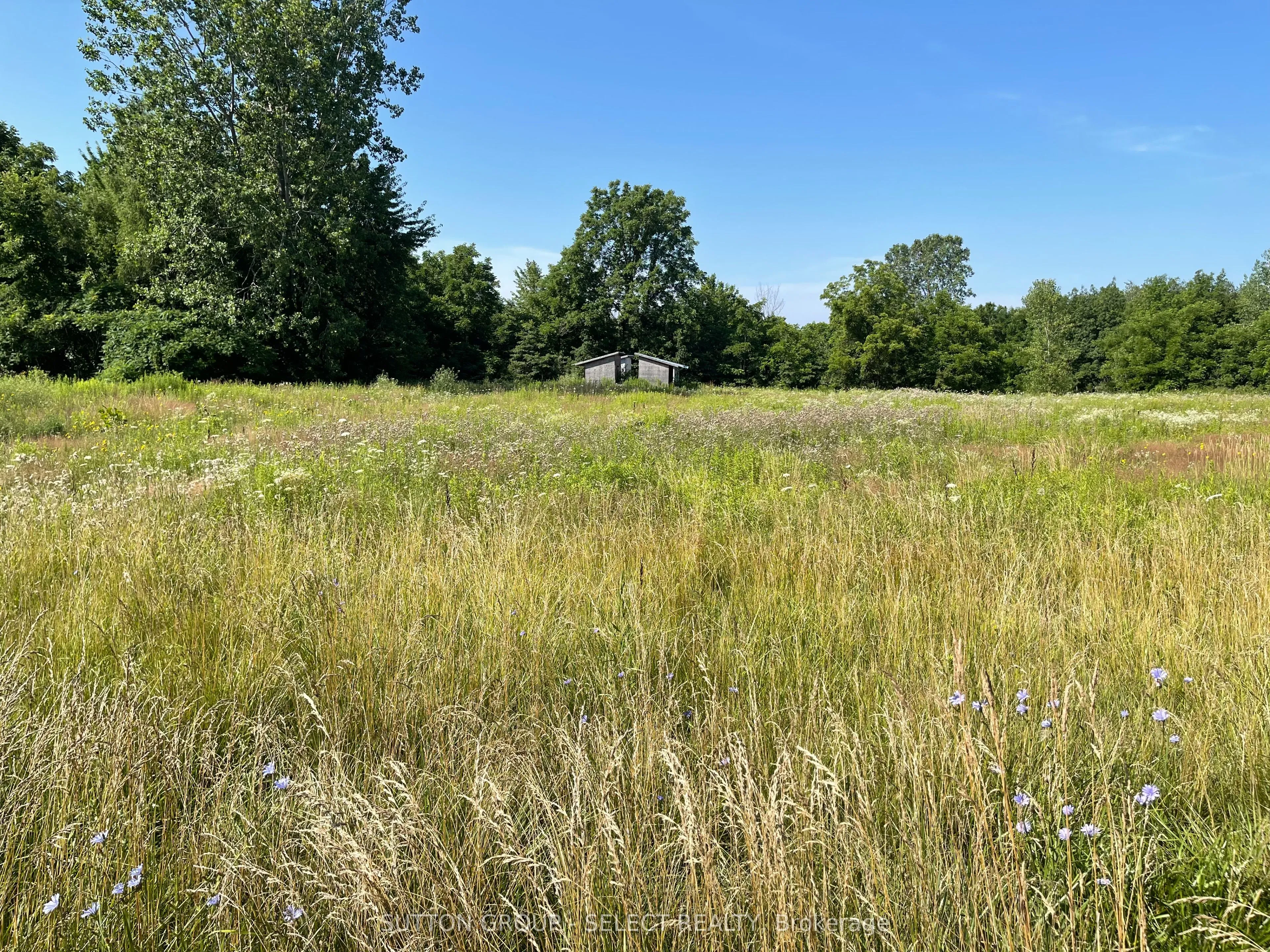 180 JANE Street, ON N0L 2C0