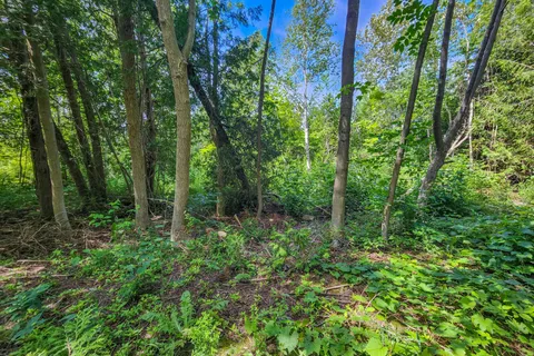 151 Mallard Street, ON N0H 2T0