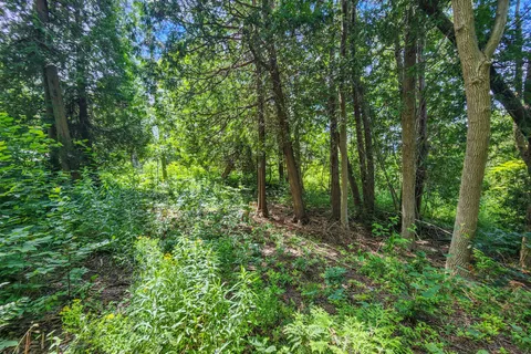 151 Mallard Street, ON N0H 2T0