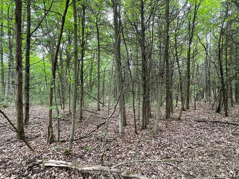 1335 JOHN F. SCOTT Road, ON K7L 4V3