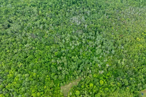 PT LT 14 Henderson Road, ON K0K 2L0