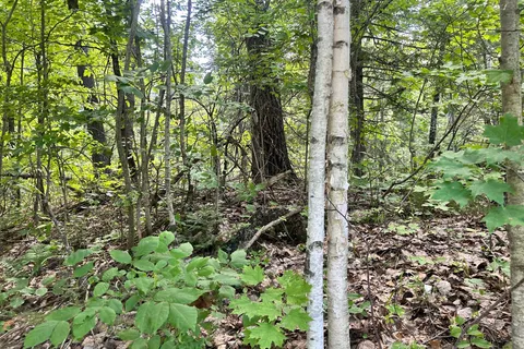 0 Trebbien Road, ON K0J 1T0