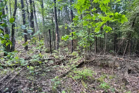 0 Trebbien Road, ON K0J 1T0