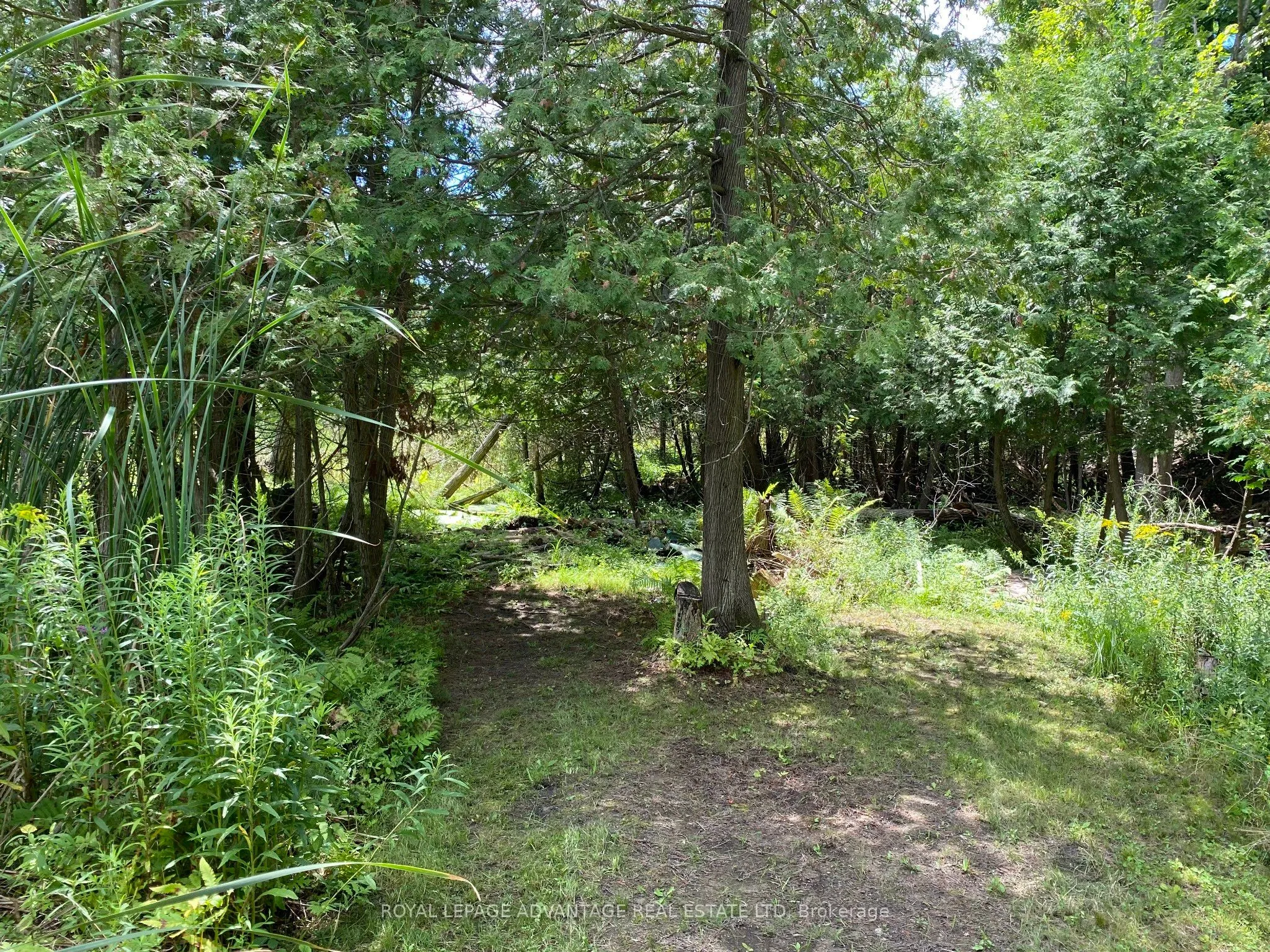 14311 County 15 Road, ON K0G 1N0