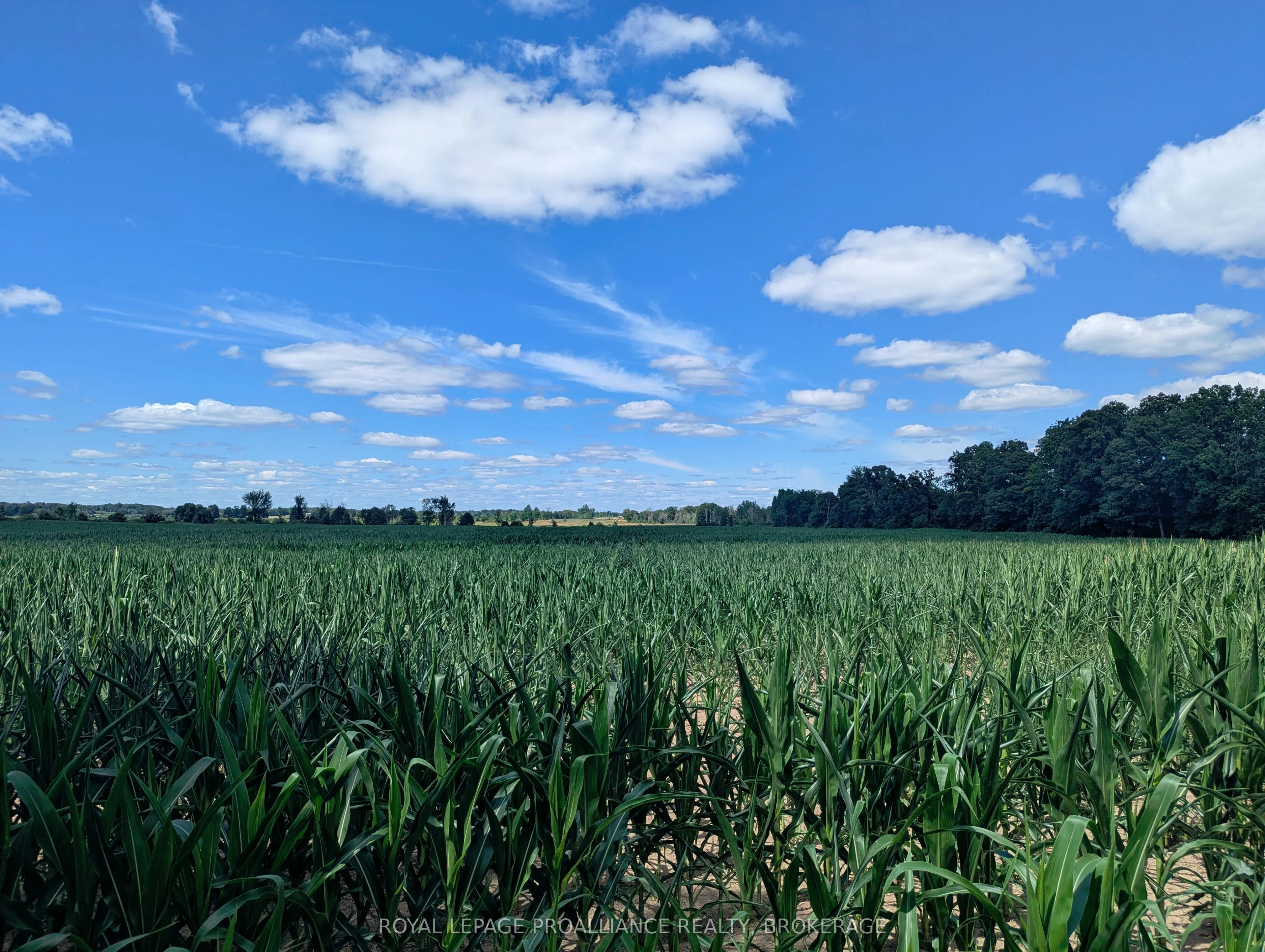 2620 4th Concession Road, ON K0H 1Y0