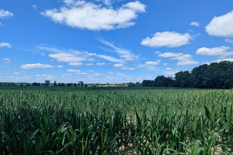 2620 4th Concession Road, ON K0H 1Y0