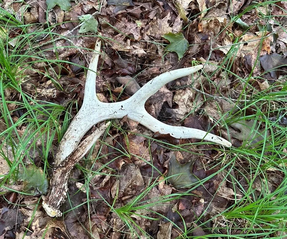 1042 St Pierre Road, ON K0H 2C0