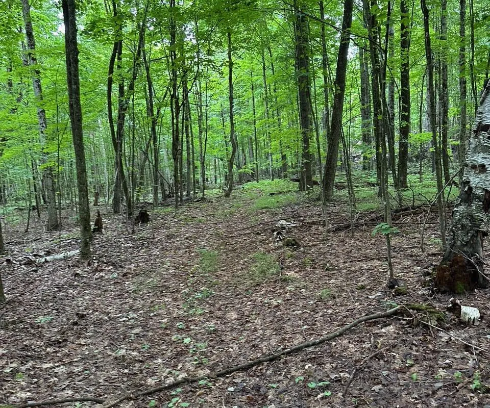 1042 St Pierre Road, ON K0H 2C0