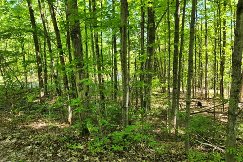 28578 Hwy 7 Highway, ON K0H 2B0