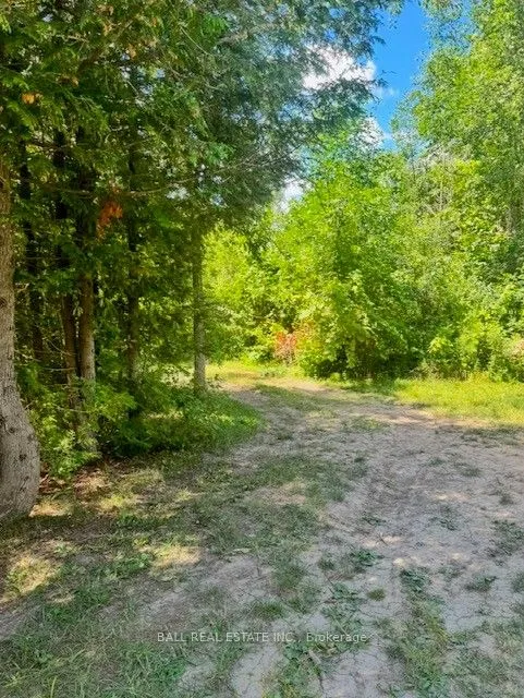 19 Carlton Crescent, ON K0L 2W0