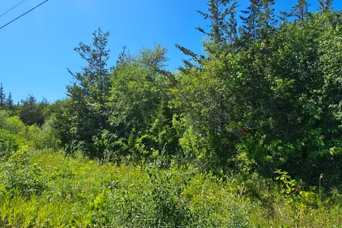 Beside 101 Royal Road, ON K0K 2P0