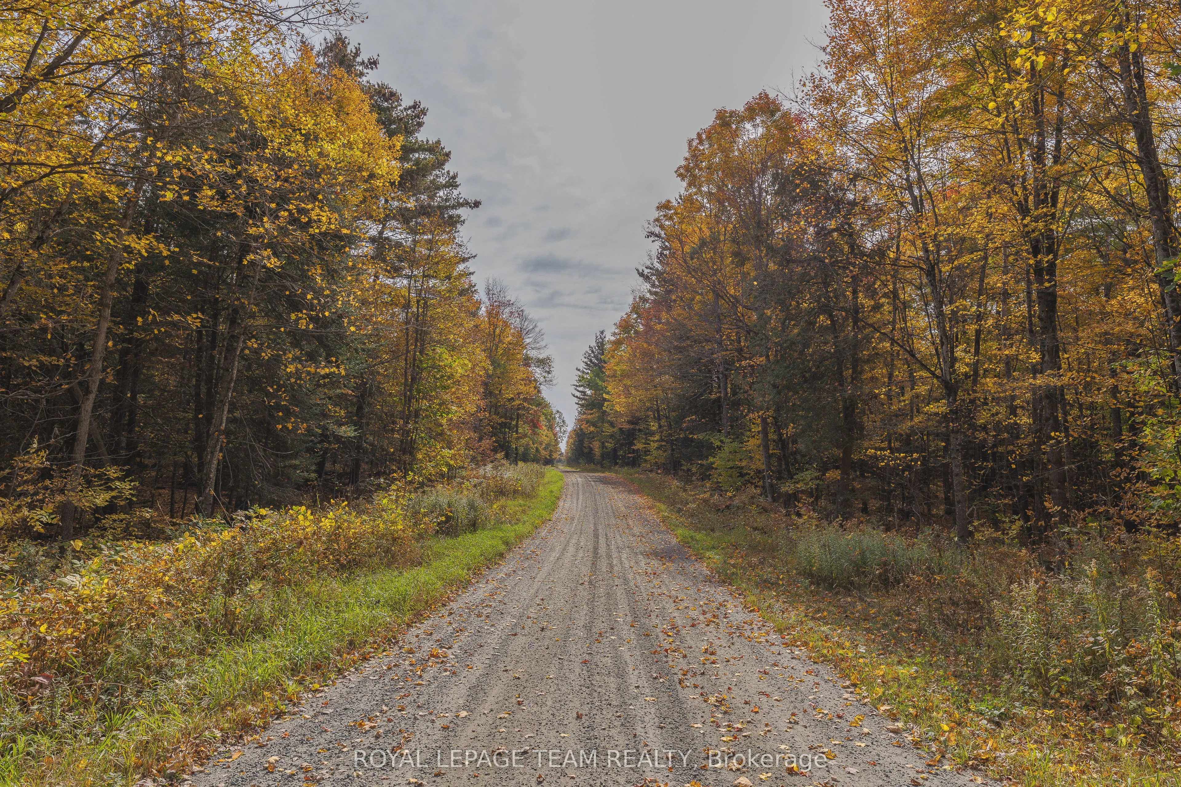 Lot 7 10th Concession B Road, ON K0A 1A0