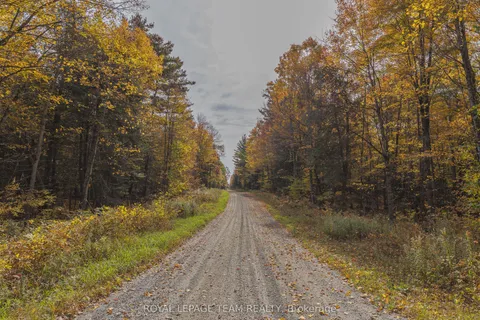 Lot 7 10th Concession B Road, ON K0A 1A0
