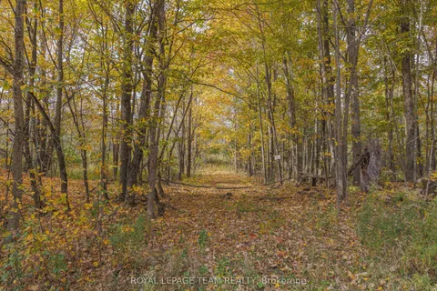 Lot 7 10th Concession B Road, ON K0A 1A0