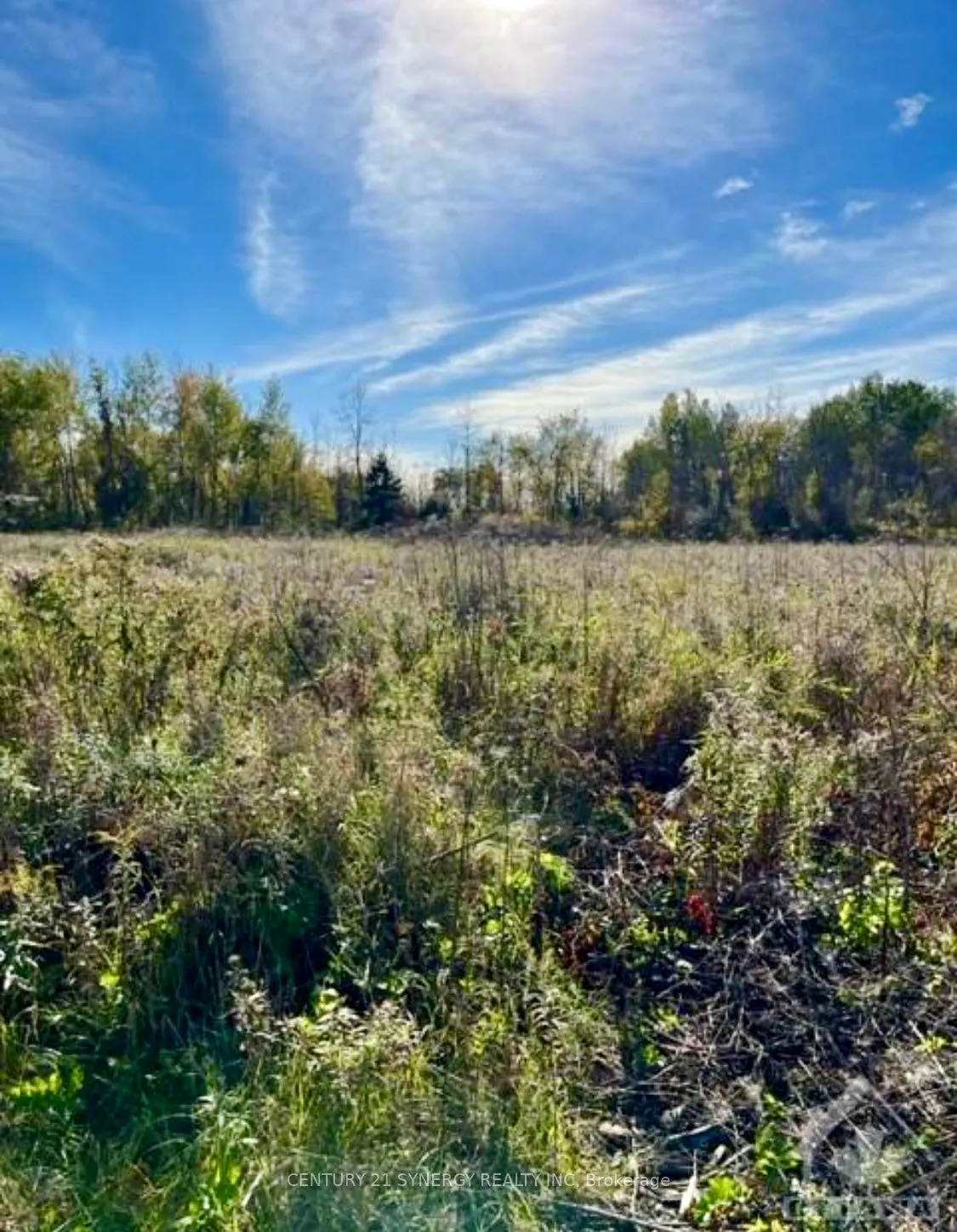 26 HONEY BEE Grove, ON K0A 2Z0