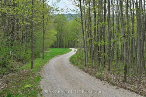 546299 Sideroad 4B Road, ON N0C 1G0