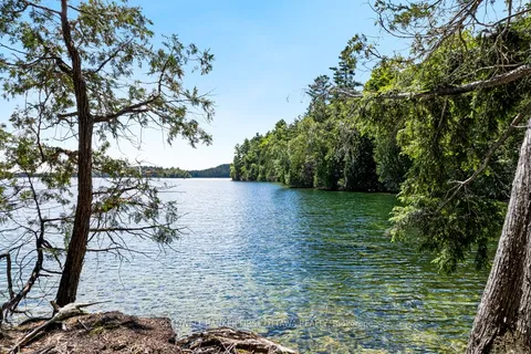 000 Palmerston Lake N/A, ON K0H 2J0