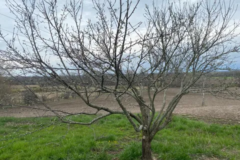 191 Long Beach Road, ON K0M 1G0