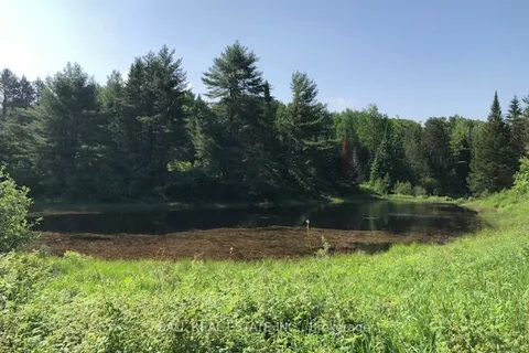 35956 Highway 62 N/A, ON K0L 2R0