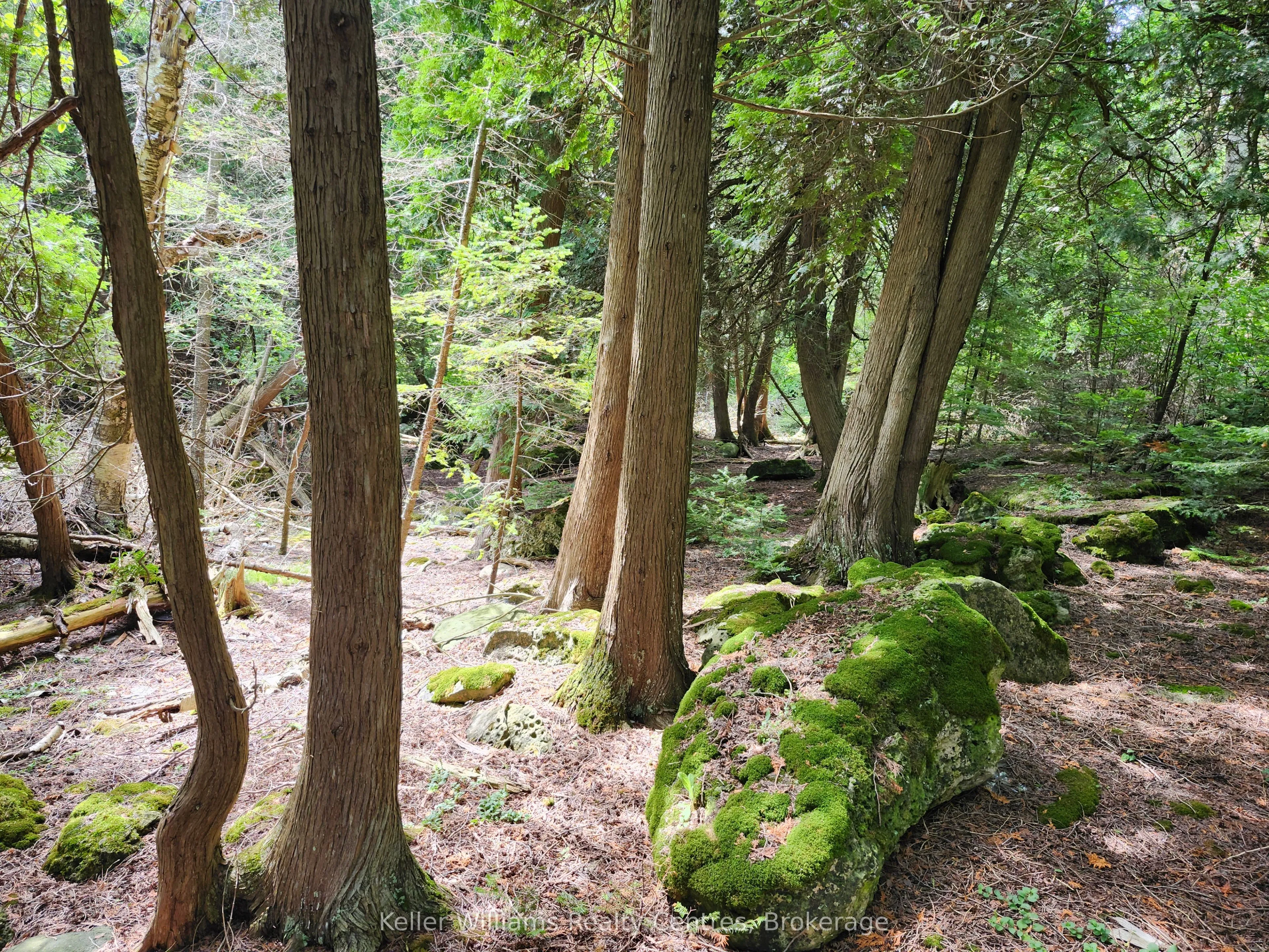 23 RABBIT N/A, ON N0H 2T0