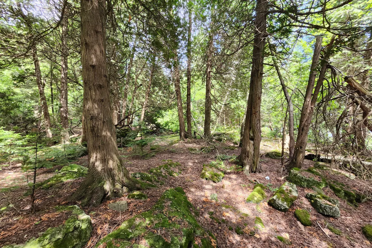 23 RABBIT N/A, ON N0H 2T0