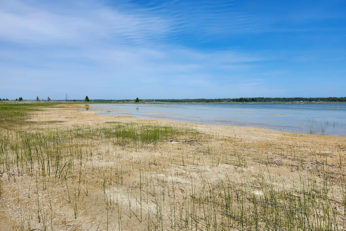 23 RABBIT N/A, ON N0H 2T0