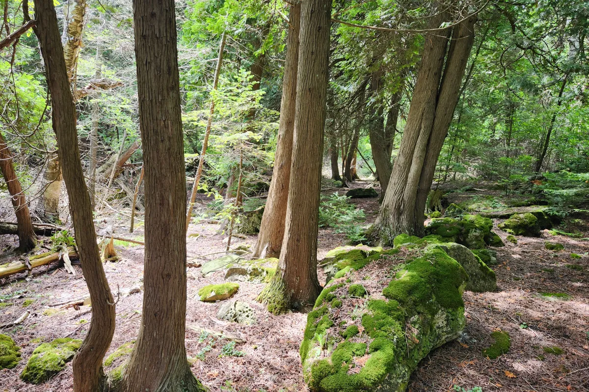 23 RABBIT N/A, ON N0H 2T0