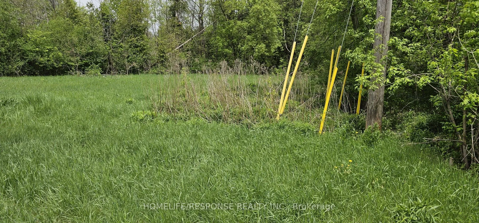 100 DOWLER Street, ON N0B 2K0