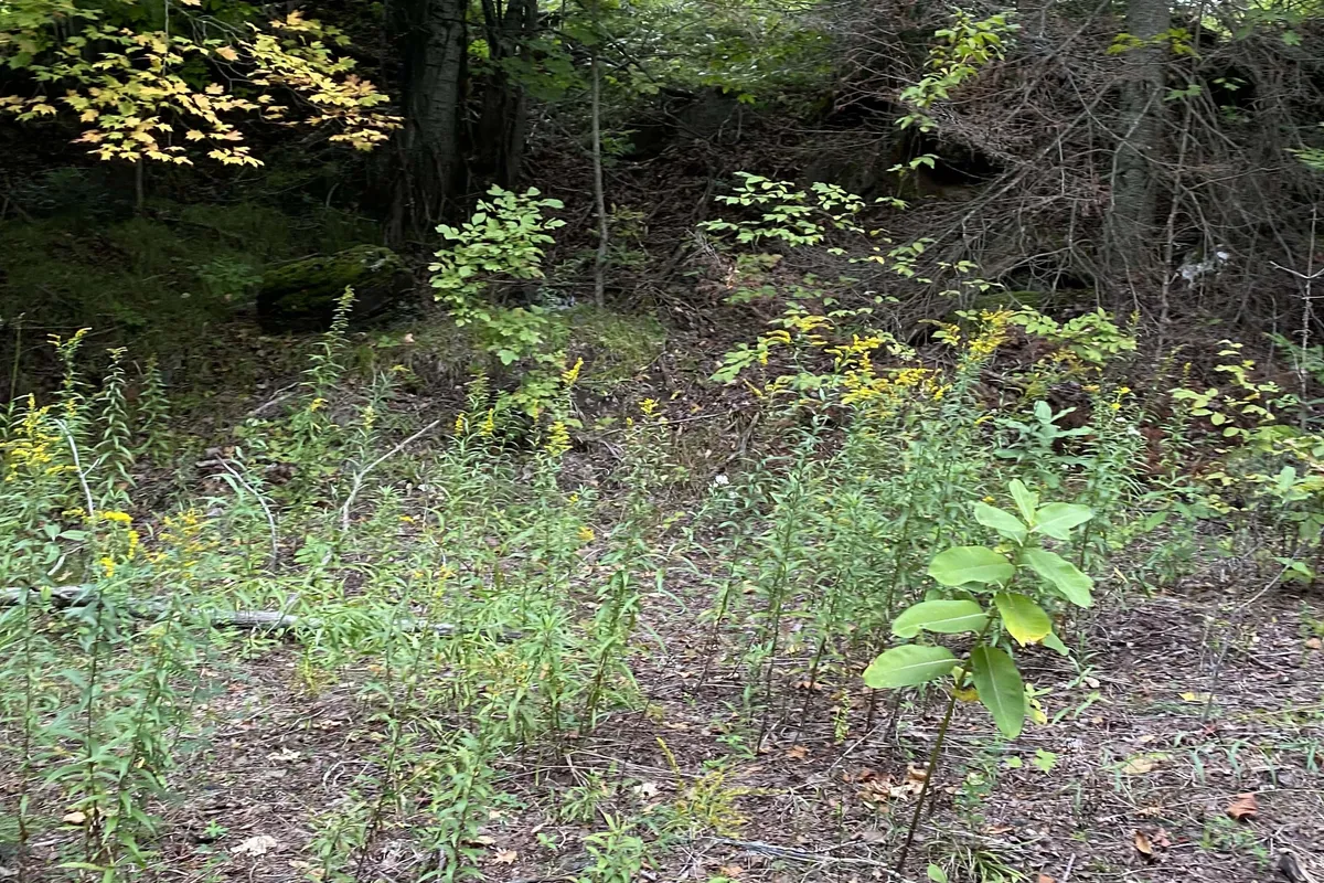 N/A Hwy 620 N/A, ON K0L 1P0