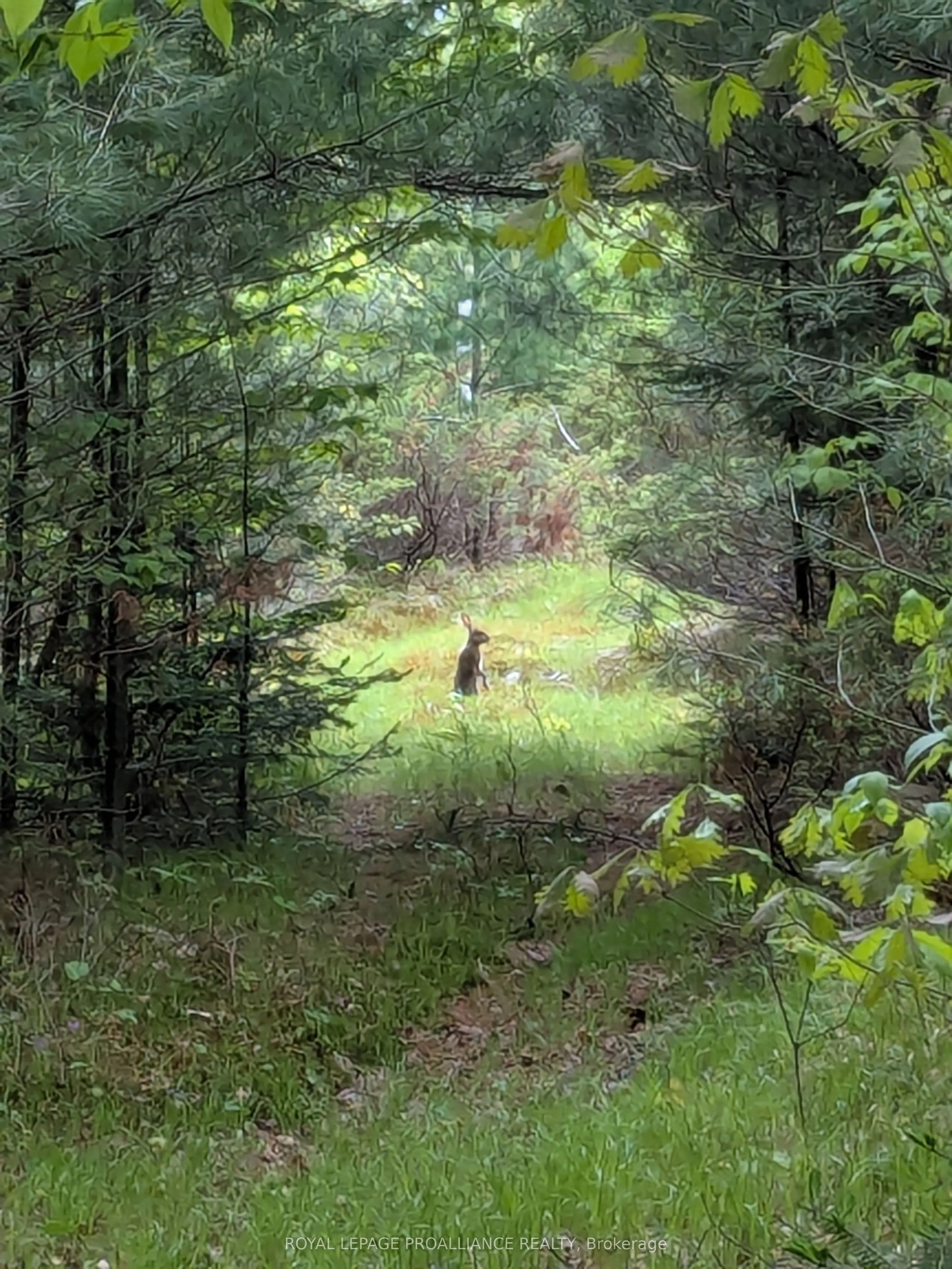 0000 Highway 7 N/A, ON K0H 1Z0