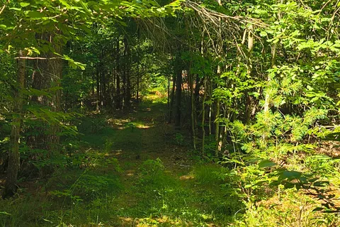 0000 Highway 7 N/A, ON K0H 1Z0