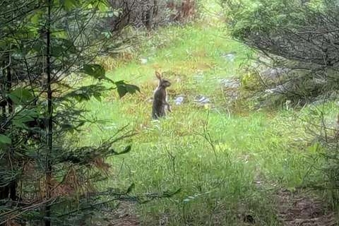 0000 Highway 7 N/A, ON K0H 1Z0