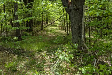 0000 Highway 7 N/A, ON K0H 1Z0