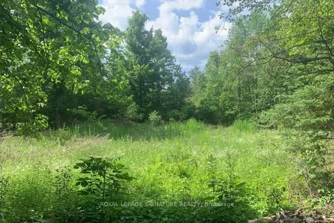 12 Suter Drive, ON K0M 2B0