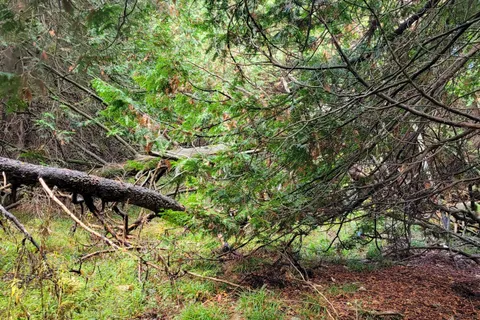 PT LT88 HIGHWAY 10 N/A, ON N0C 1H0