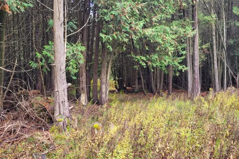 PT LT88 HIGHWAY 10 N/A, ON N0C 1H0