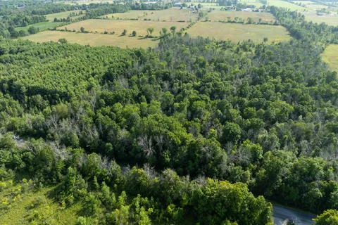 PT LT 6 Sunnyside Road, ON K0G 1X0