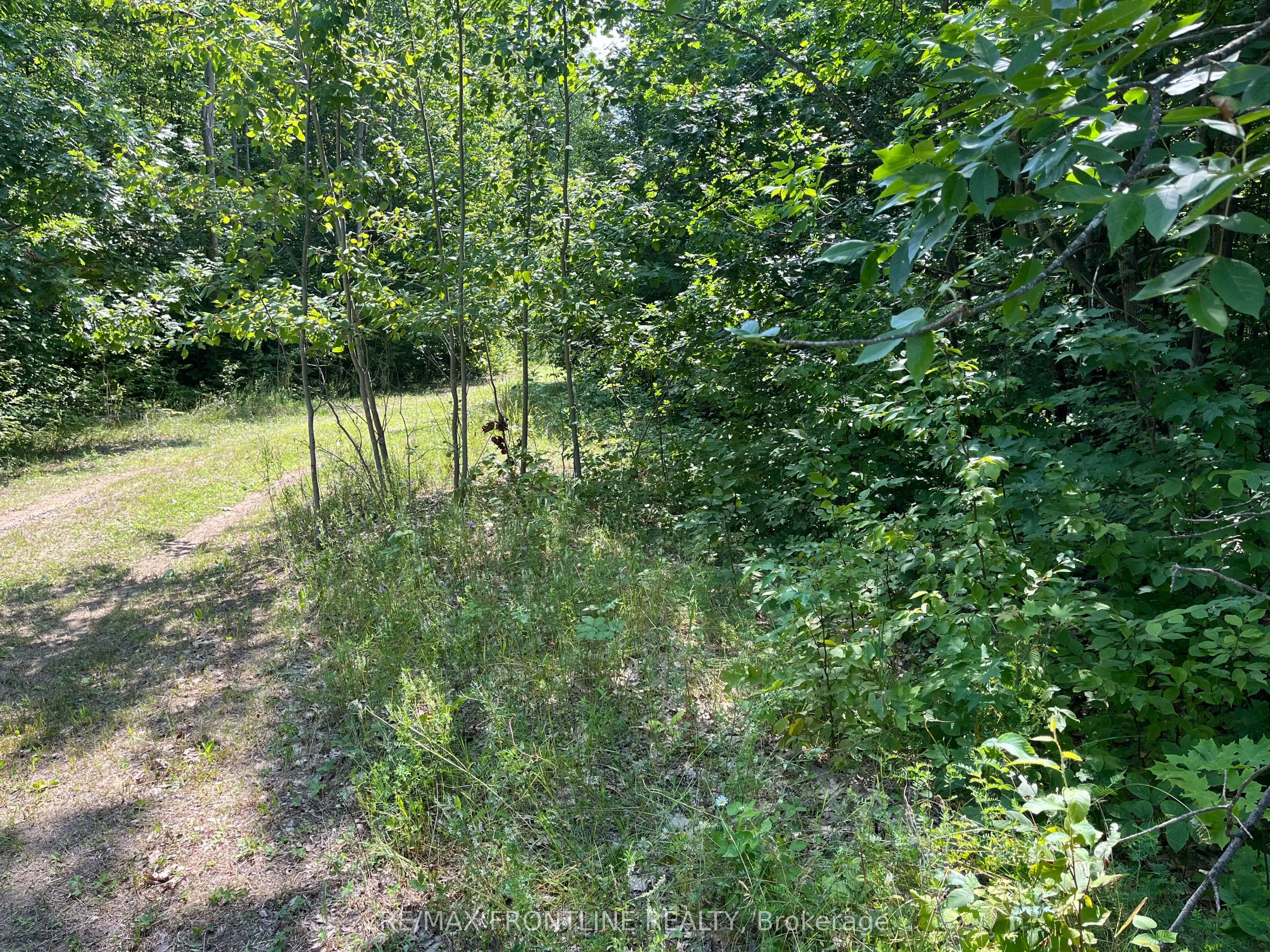 0 Red Pine Road, ON K0H 2B0